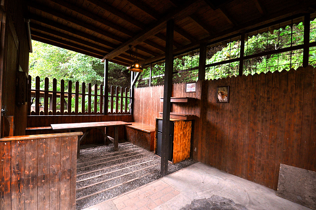ウエストリバーオートキャンプ場 キャンプ場の写真 4