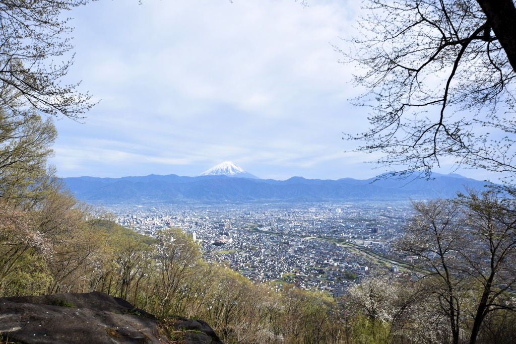 武田の杜 写真3