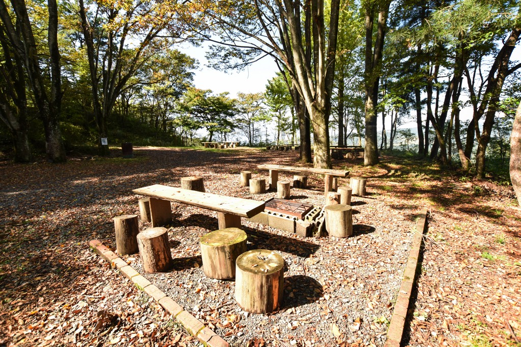 武田の杜 写真1