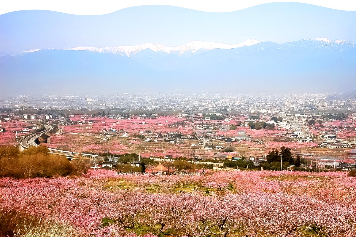 一宮町 花見台