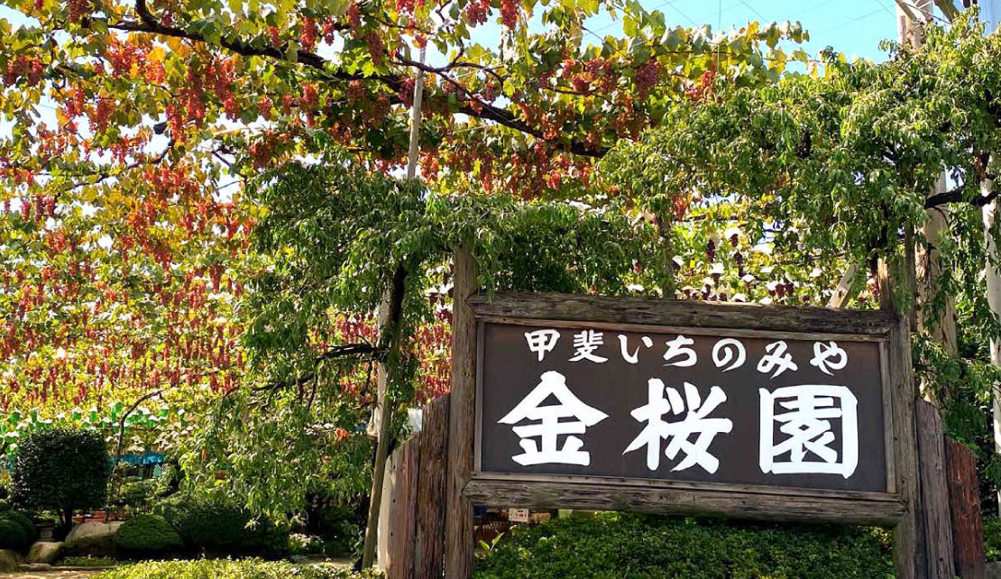 甲斐いちのみや金桜園 外観