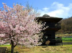 一宮町 花見台
