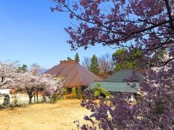 妙亀山 廣厳院