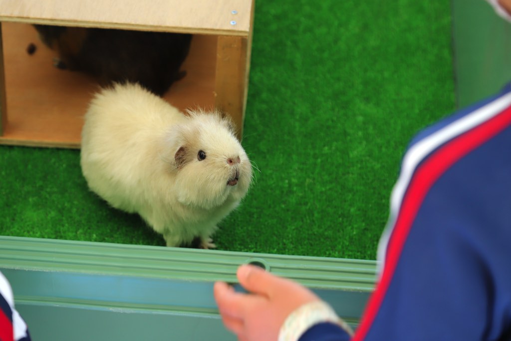 甲府市遊亀公園附属動物園