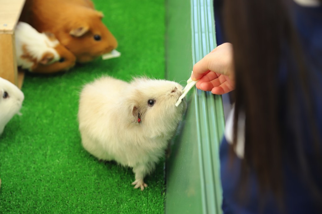 甲府市遊亀公園附属動物園