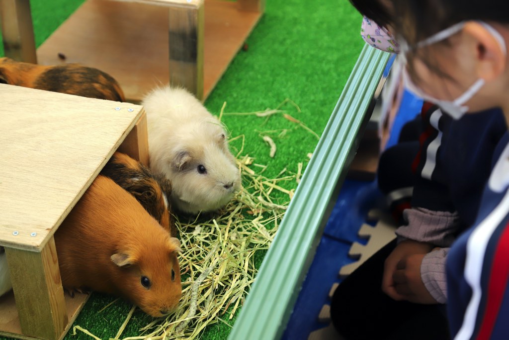 甲府市遊亀公園附属動物園