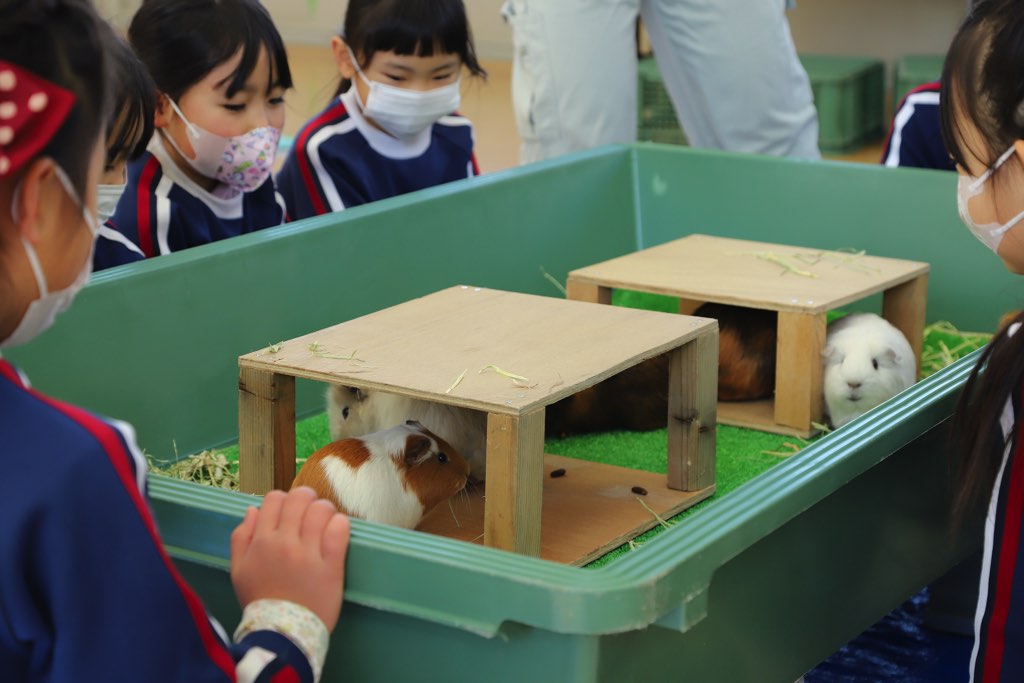 甲府市遊亀公園附属動物園