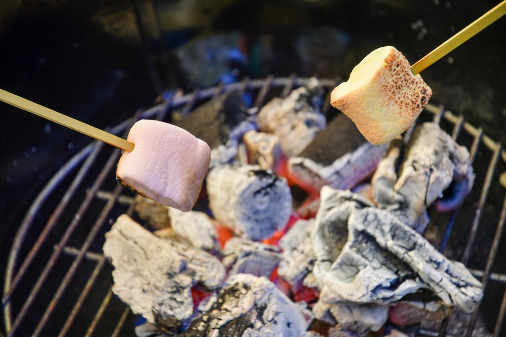 尾白の森・名水公園べるが アウトドアBBQ 写真3