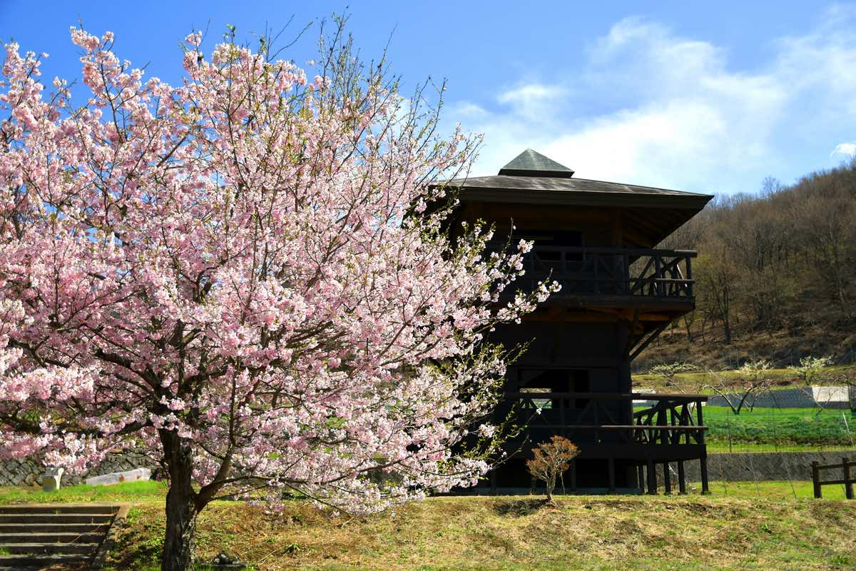 一宮町花見台〜花見スポット 3