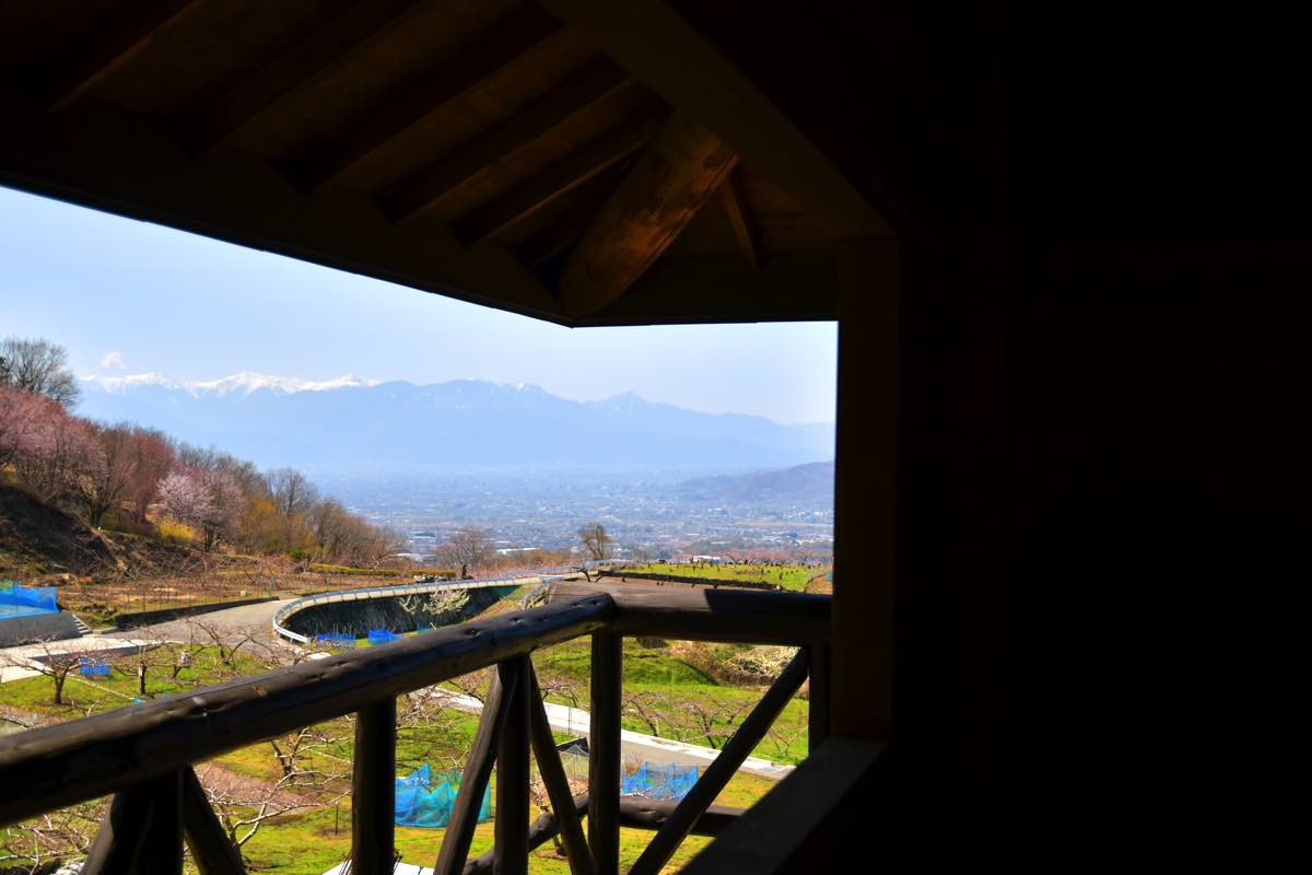 一宮町花見台〜花見スポット 4