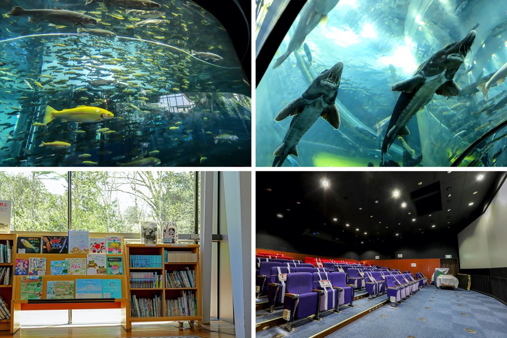 森の中の水族館 内観