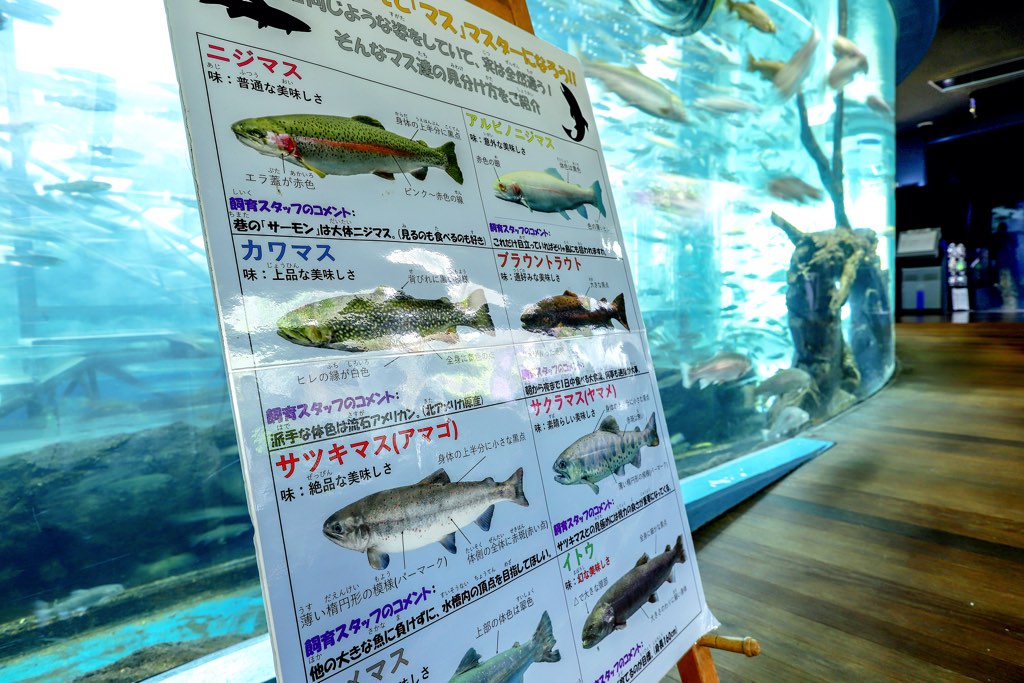 森の中の水族館 スタッフのコメント入り解説板