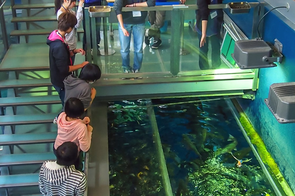森の中の水族館 https://porta-y.mom/wp-content/uploads/2023/03/morinonakano-suizokukan_7.jpg