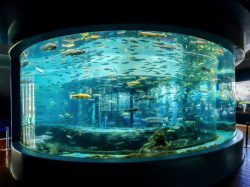 「森の中の水族館。」飼育スタッフに聞いた！水族館のみどころ