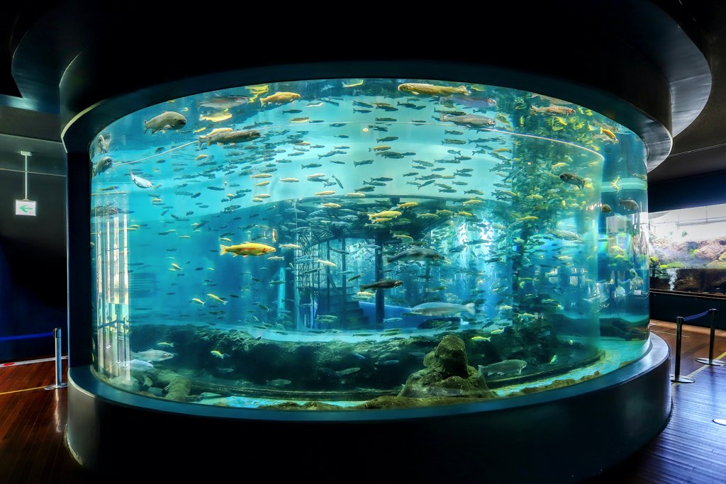 「森の中の水族館。」飼育スタッフに聞いた！水族館のみどころ