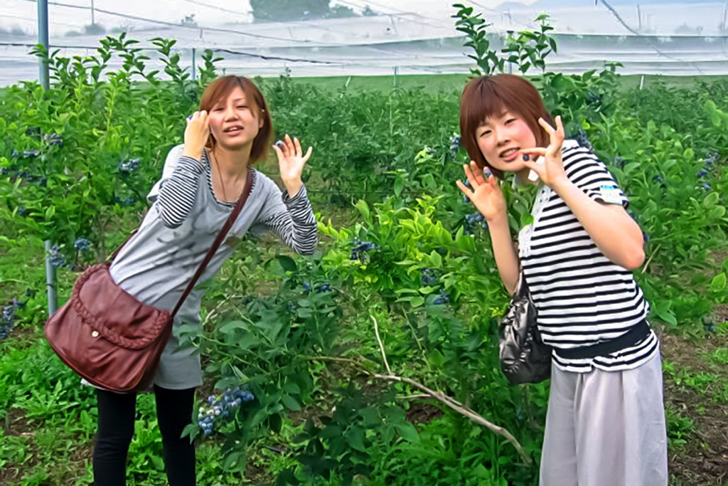 ブルーベリー明野