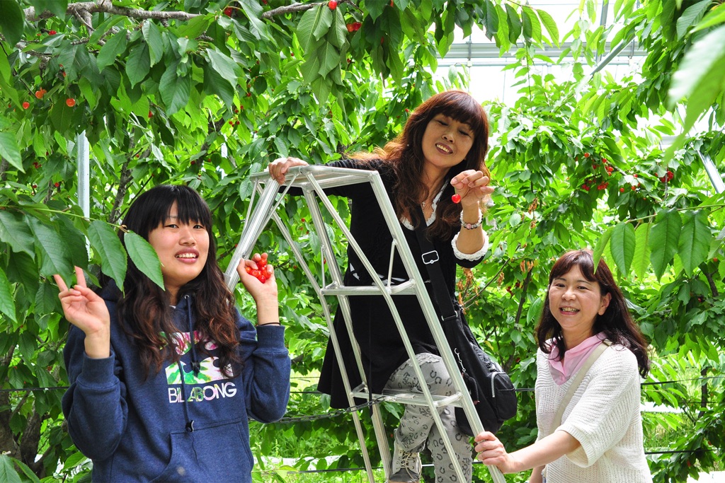 くぬぎ観光農園