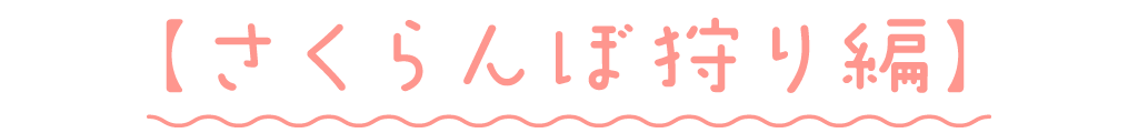 さくらんぼ狩り編