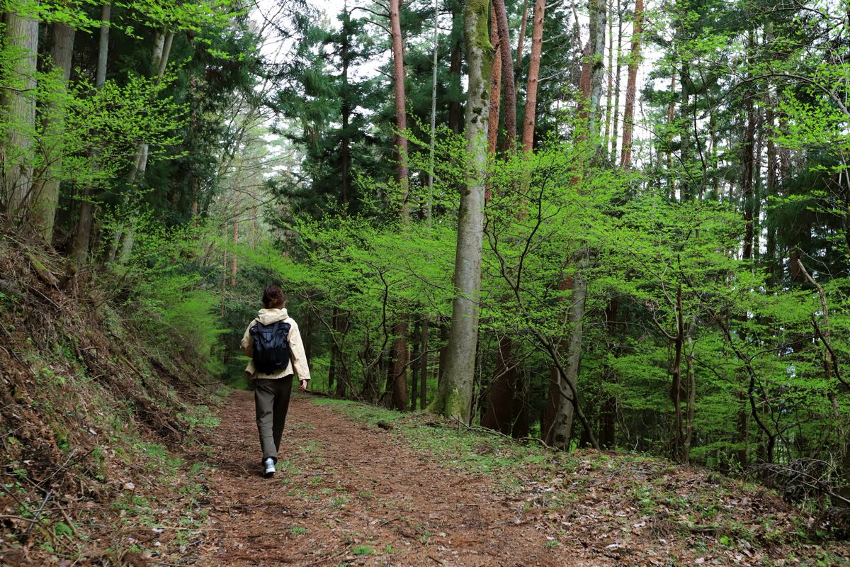 杓子山ゲートウェイキャンプ 登山体験