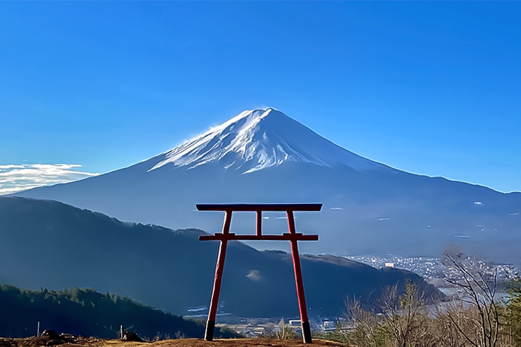 母の白滝