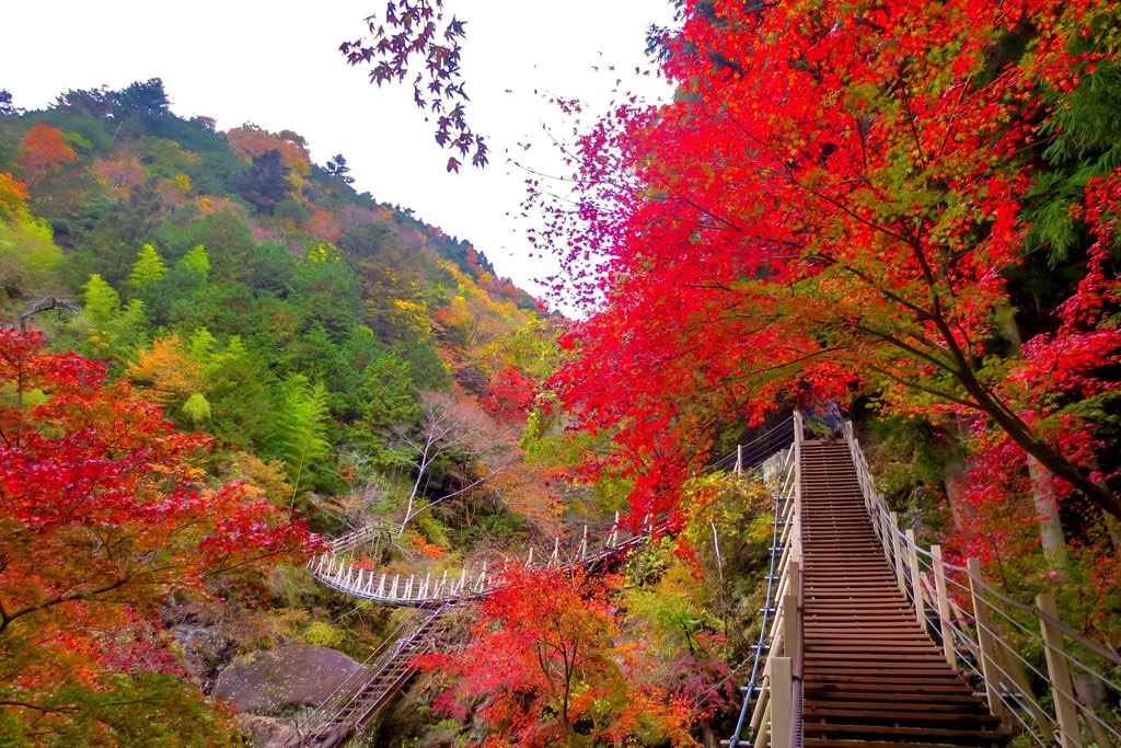 大柳川渓谷