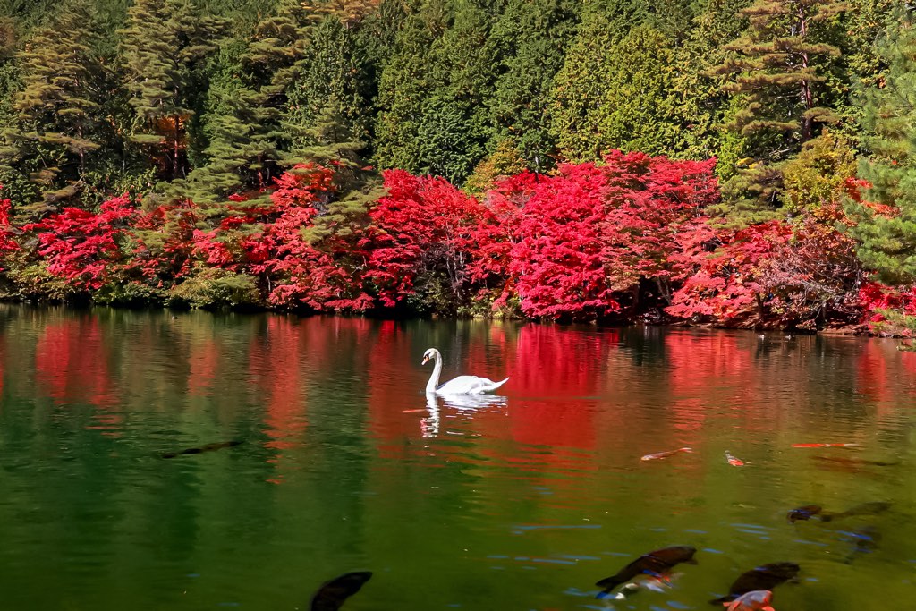 エコパ伊奈ヶ湖