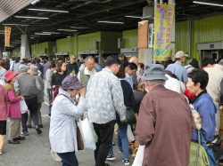 [ 第36回 市場開放「甲府さかなっぱ市」 ] 甲府市地方卸売市場