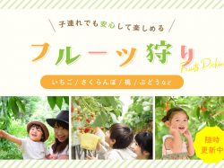 山梨の味覚狩りスポット2024～子どもとフルーツ狩りに行こう！