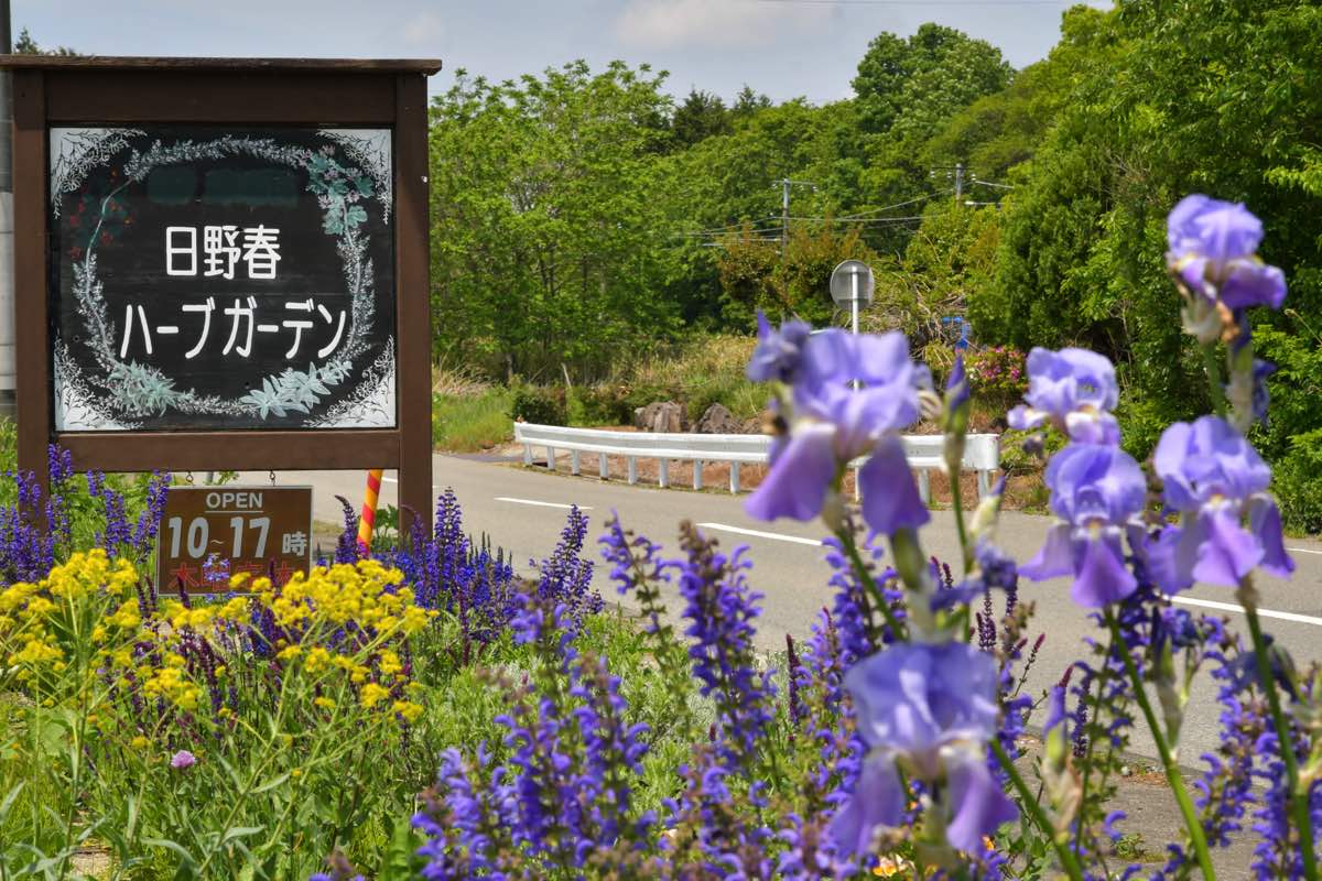 日の