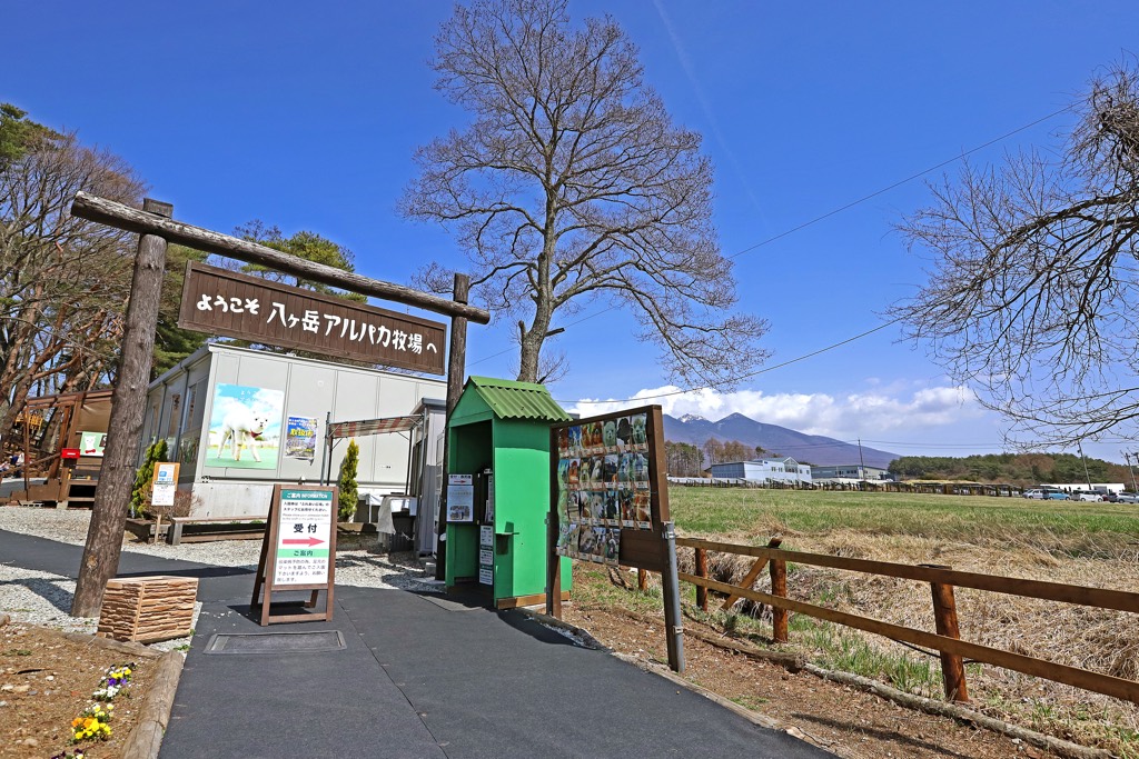 八ヶ岳アルパカ牧場
