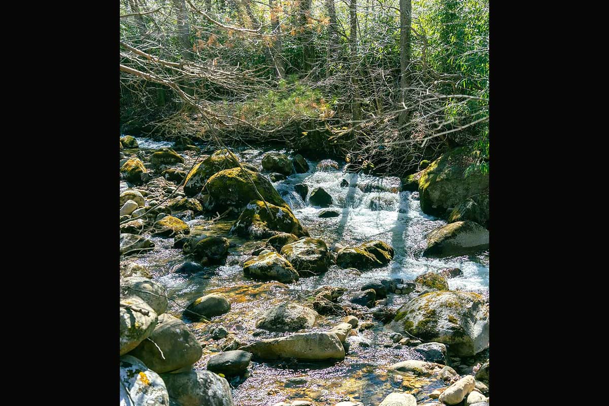 0site（ゼロサイト）の写真 8