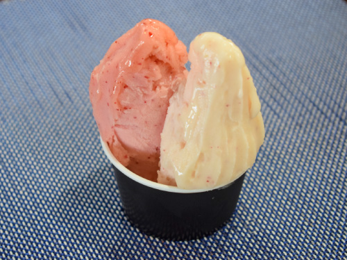 Gelateria XANADU-甲府市 | 山梨の桃を使った人気スイーツ2023