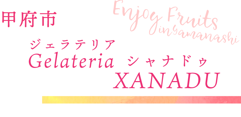 甲府市 Gelateria XANADU