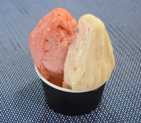 Gelateria XANADUの桃とすもものソルベ