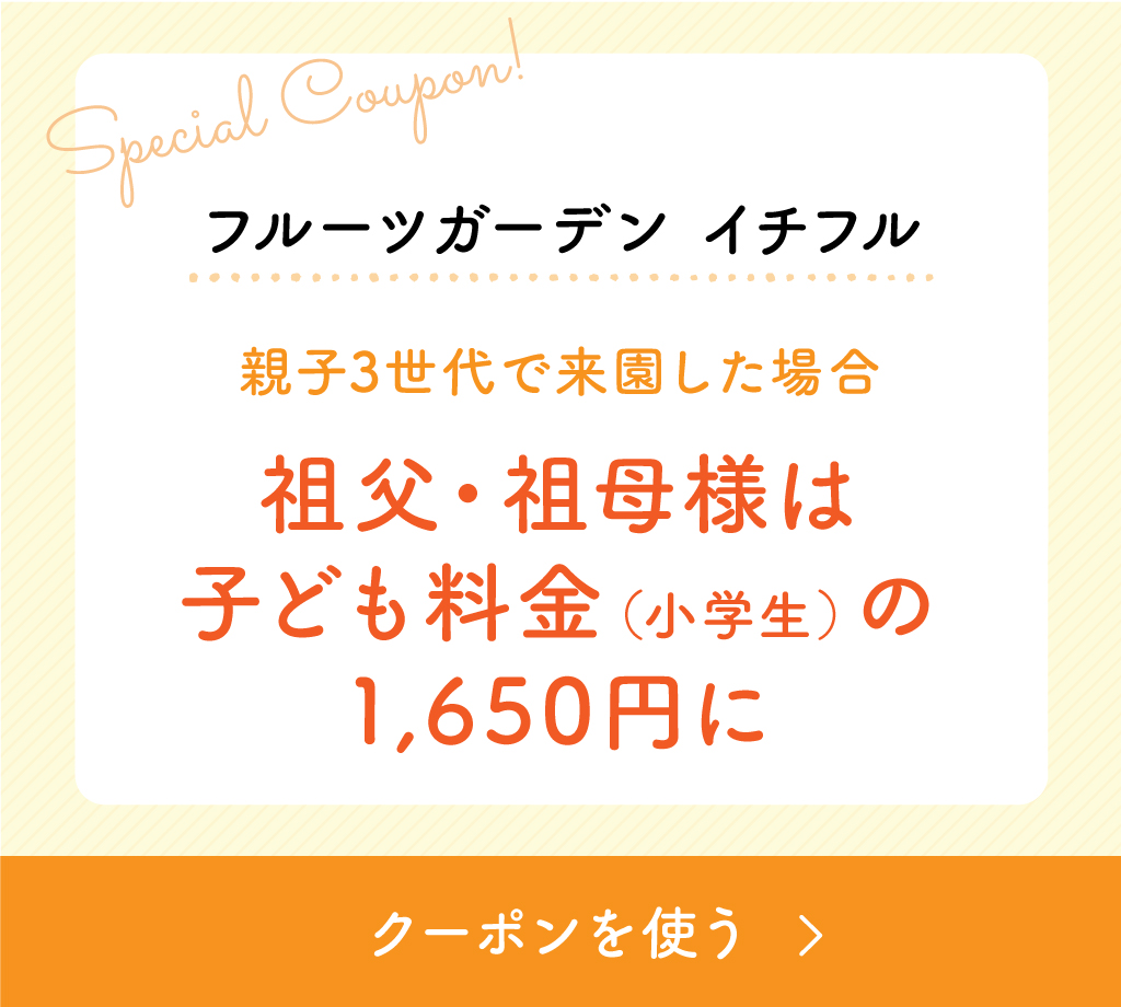 フルーツガーデン イチフルクーポン「親子3世代で来園した場合…祖父・祖母様は子ども料金（小学生）の1,650円に」