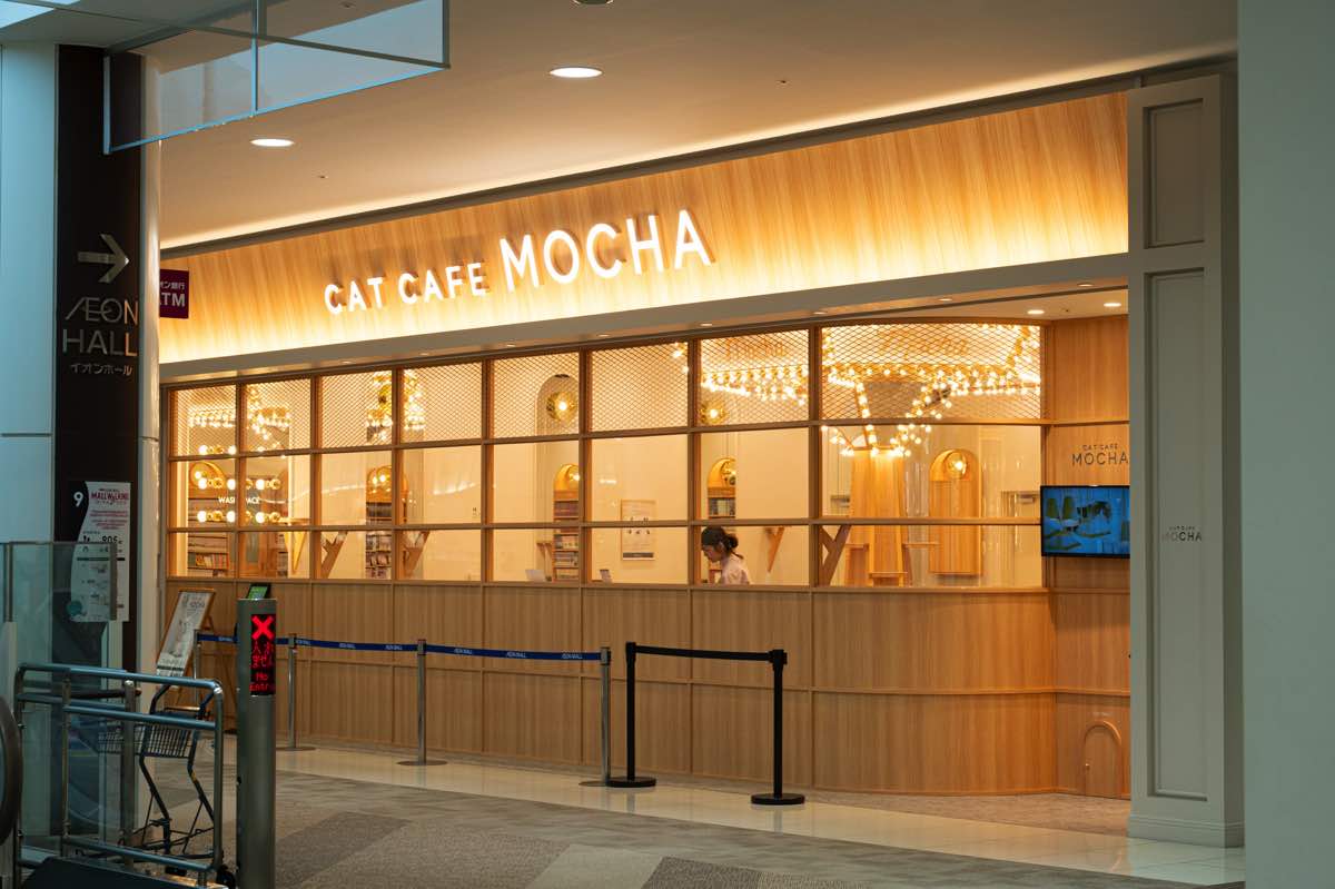猫カフェMOCHAイオンモール甲府昭和店