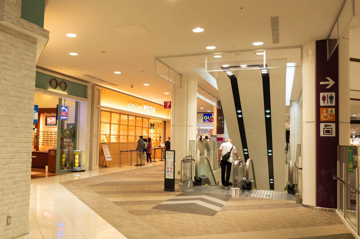 猫カフェMOCHAイオンモール甲府昭和店