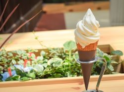 フルーツカフェ八珍果プラス
