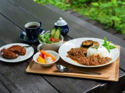 「カフェ＆ギャラリー 昼のふくろう」アップルパイの名店が生んだ絶品カレー！2023年7月1日ランチスタート