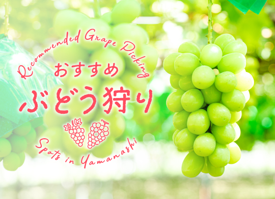 おすすめのぶどう狩り農園3選