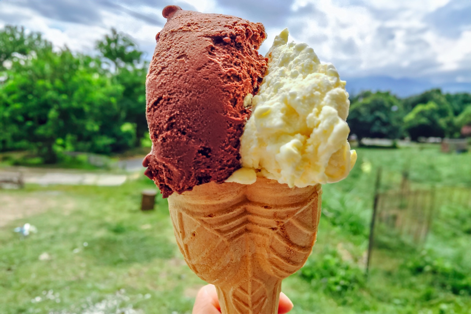 麓ジェラート 写真4