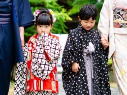 七五三におすすめの神社&お祝い膳がある料亭・レストラン