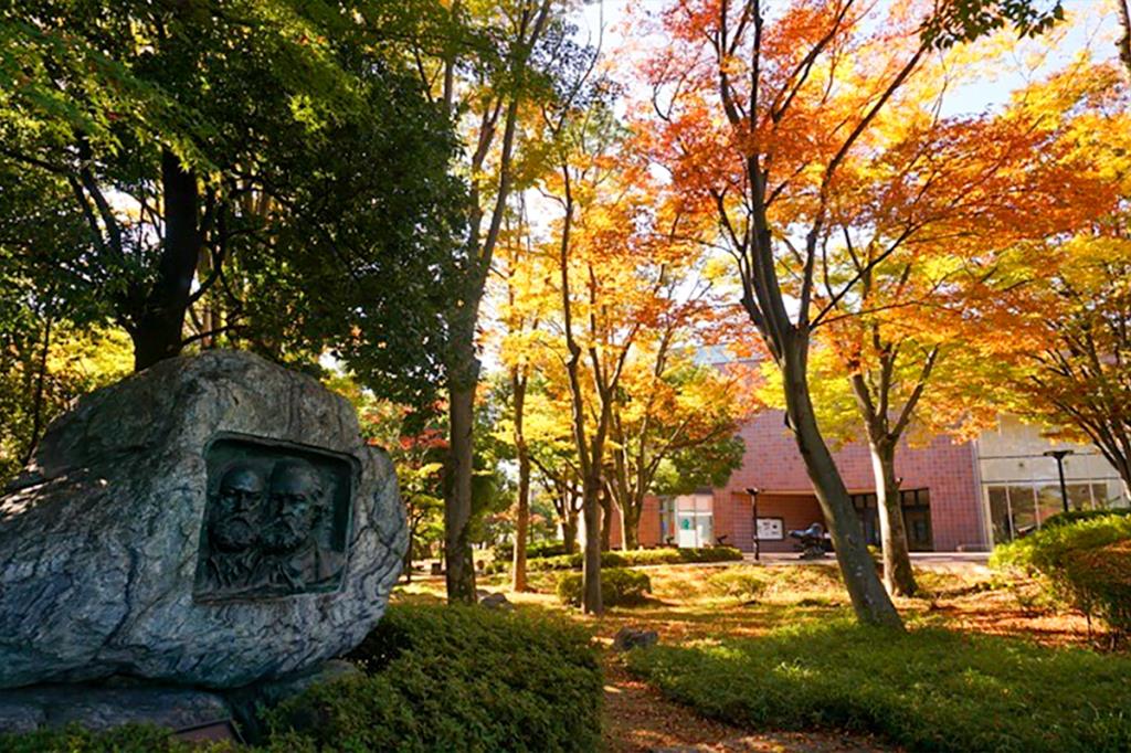芸術の森公園