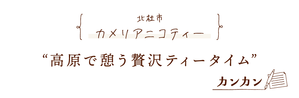 北杜市 カメリアニコティー 高原で憩う贅沢ティータイム