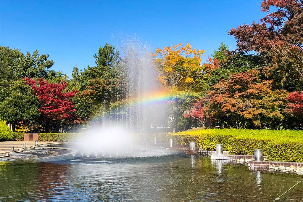 芸術の森公園 写真2