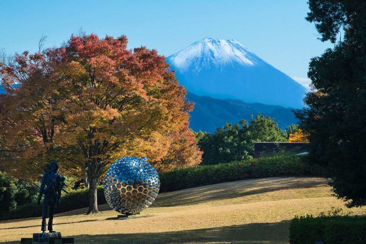 芸術の森公園