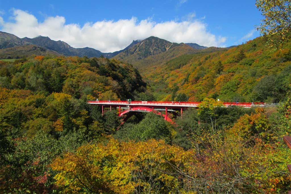 川俣川渓谷・東沢大橋 写真2