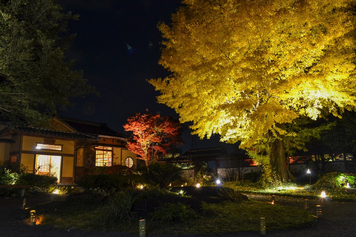 根津記念館 写真2