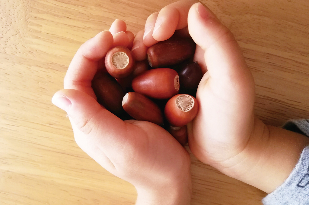 子ども大好き！秋におすすめの木の実拾いスポット7選