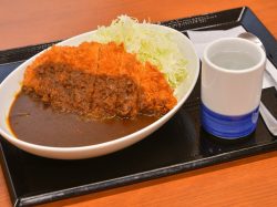 かつや甲府昭和インター店